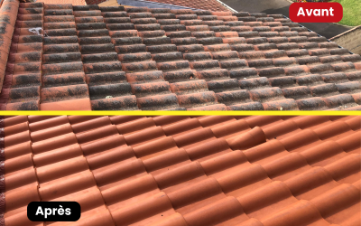 Faut-il démousser sa toiture tous les ans ?